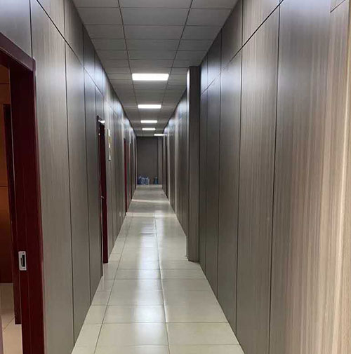 Projekt Hongze Lake Medical and Nursing Integration Project